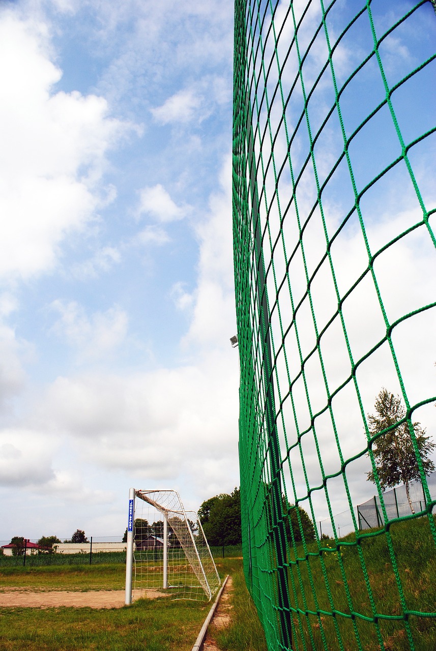 意媒：曼联和热刺有意穆阿尼，若伊萨克离队纽卡也将加入争夺