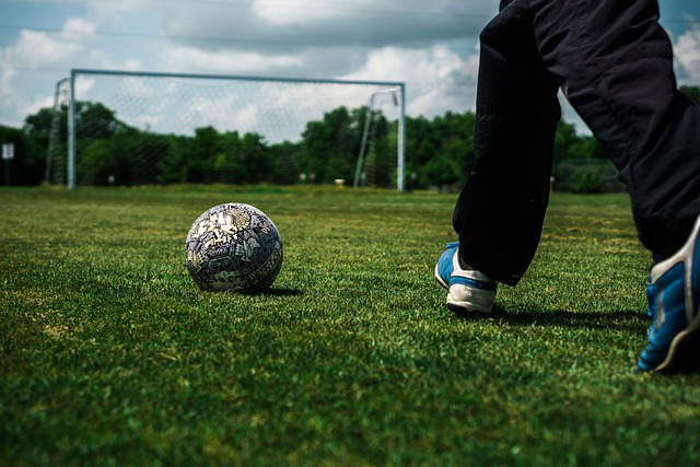 的重要组成 的重要组成