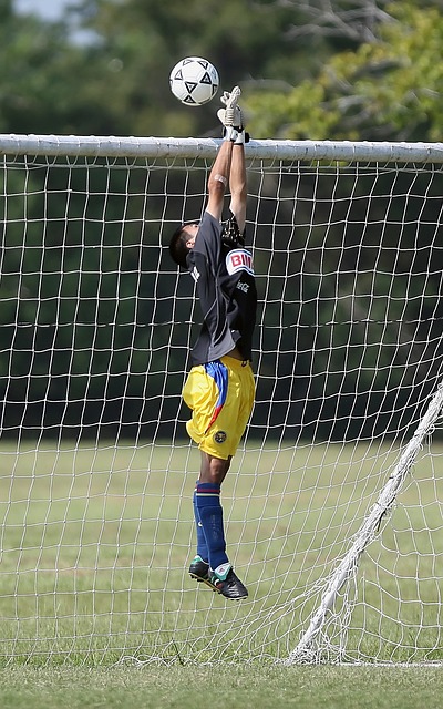 帮助篮网在 帮助篮网在