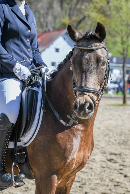 随着转会窗 随着转会窗