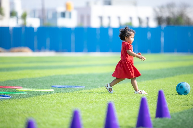 公众的期待 公众的期待