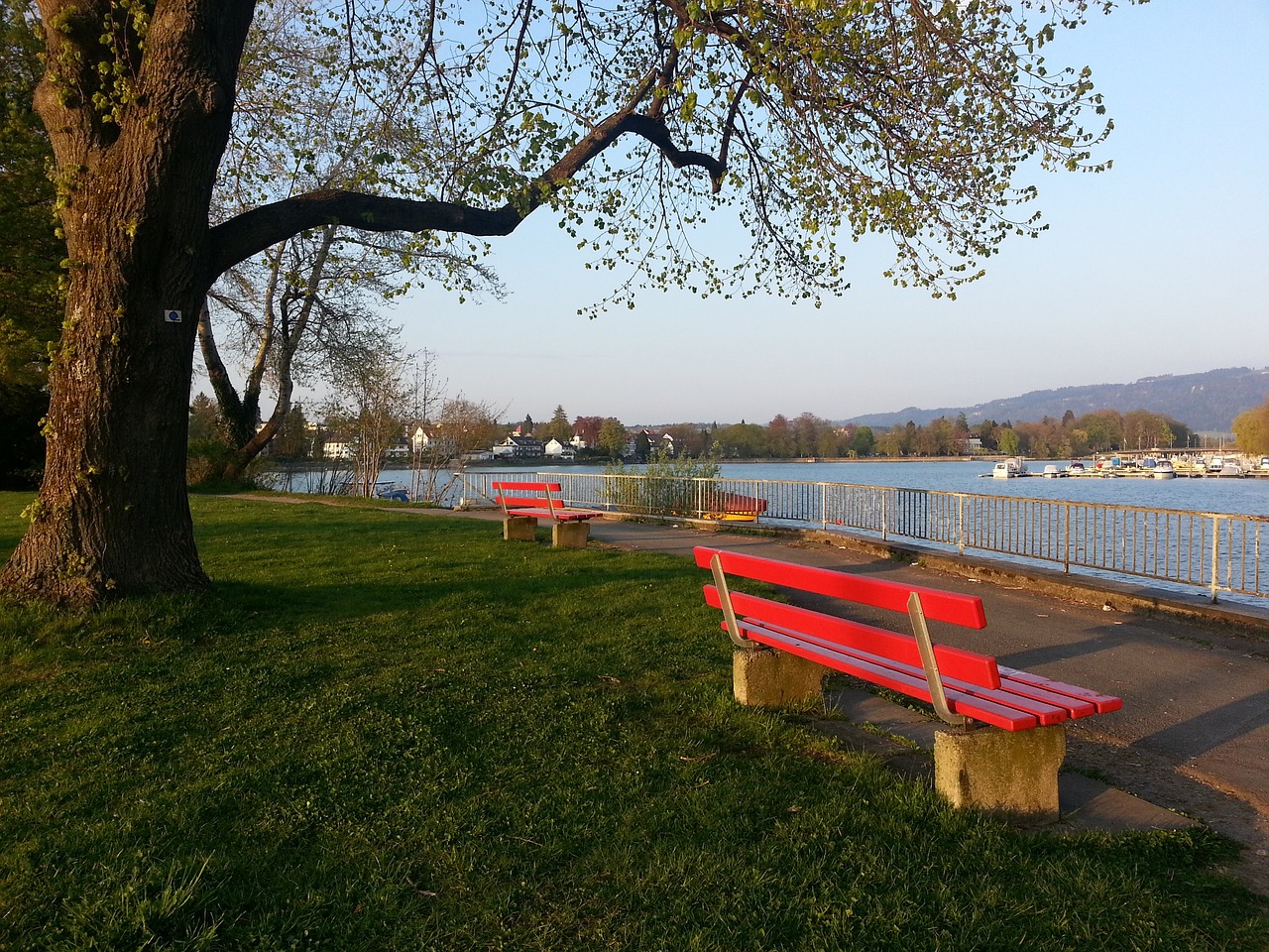 吴梦洁的成 吴梦洁的成